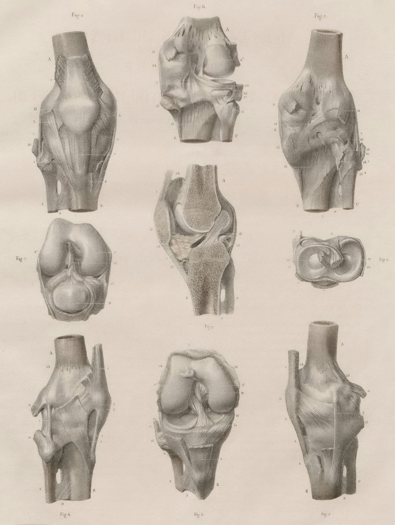 Why does my knee click — understanding knee clicking and pain